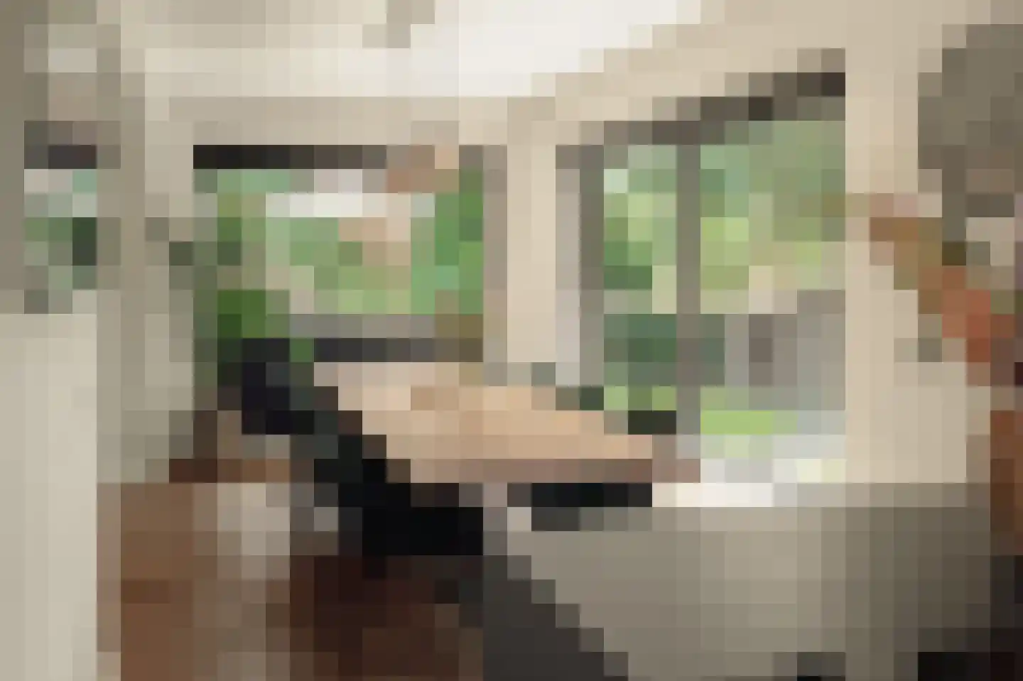Proostdijstraat 1 Mijdrecht thumbnail 25