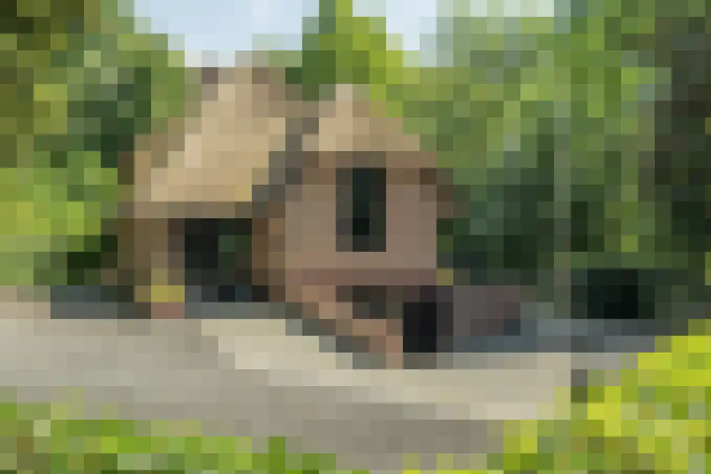 Proostdijstraat 1 Mijdrecht thumbnail 4