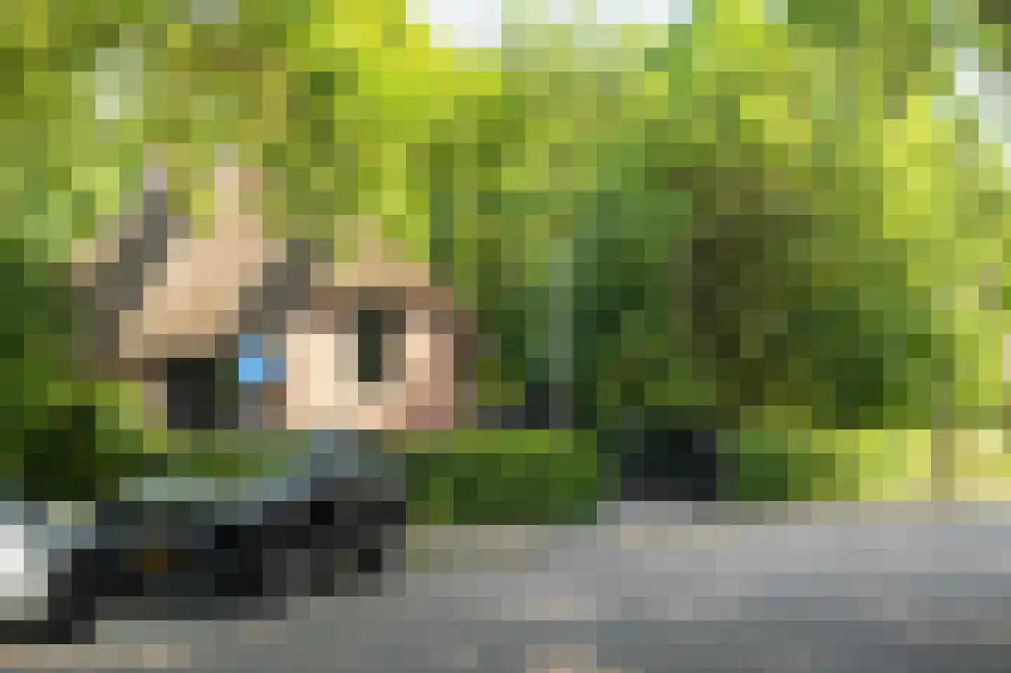 Proostdijstraat 1 Mijdrecht thumbnail 68