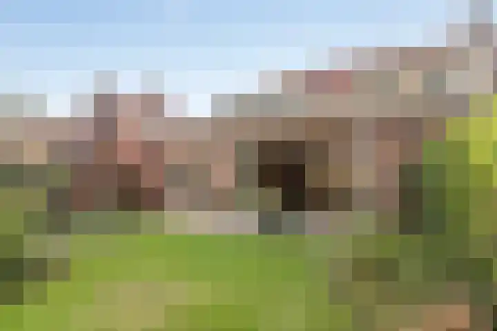 Proostdijstraat 10 Abcoude thumbnail 27