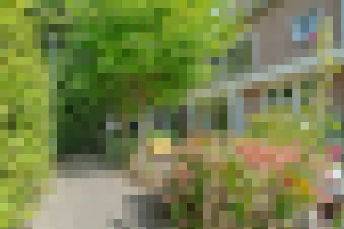 Proostdijstraat 32 Abcoude thumbnail 38
