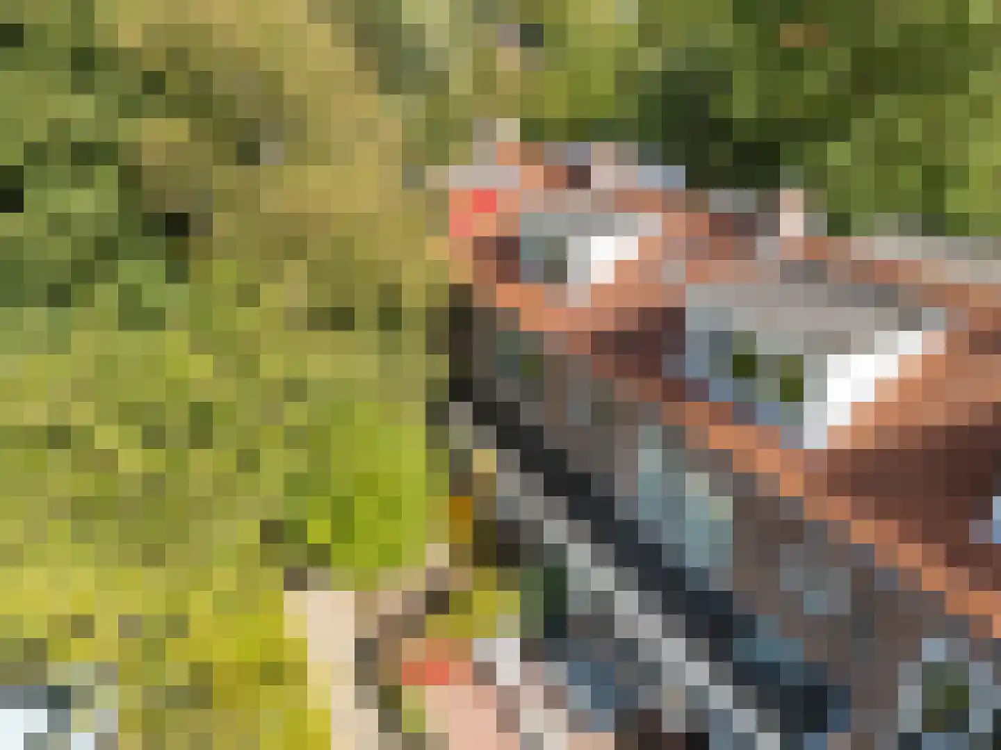 Proostdijstraat 32 Abcoude thumbnail 5