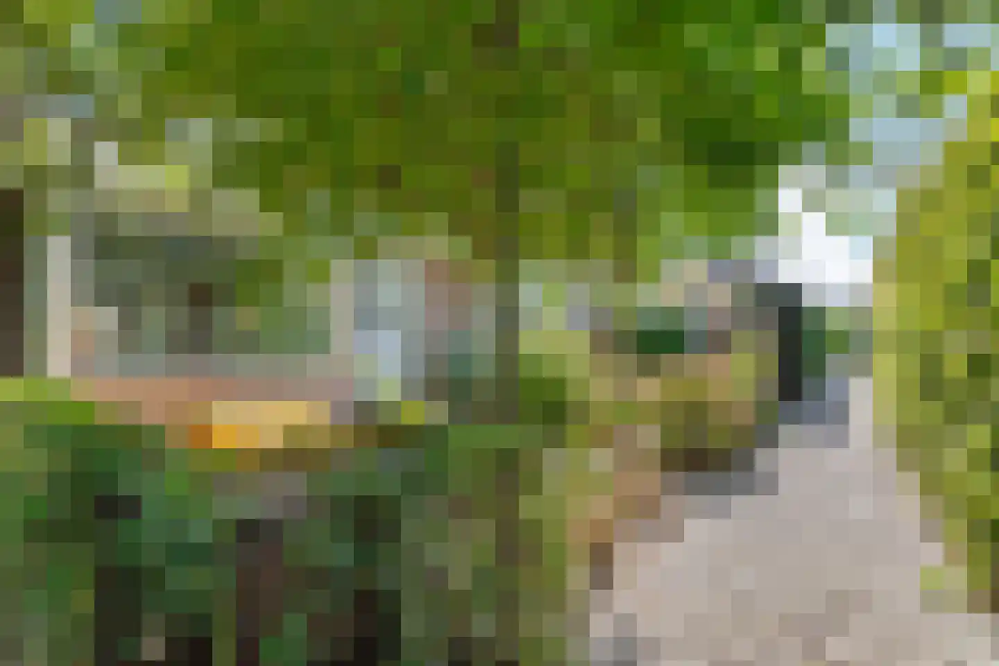 Proostdijstraat 32 Abcoude thumbnail 6