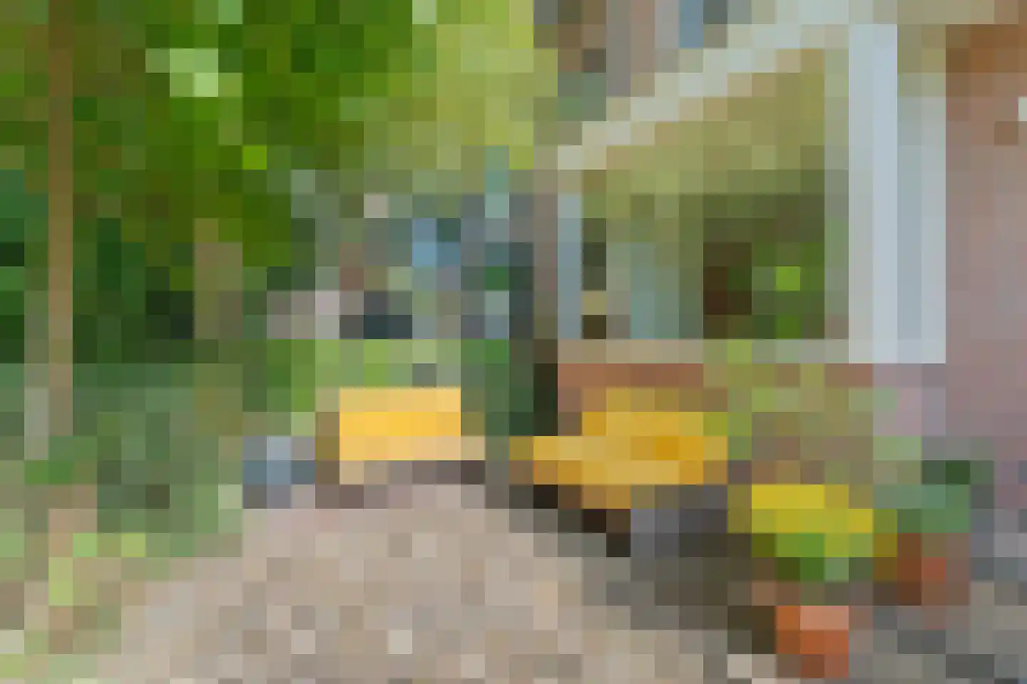 Proostdijstraat 32 Abcoude thumbnail 7