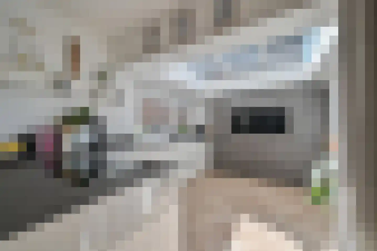 Proostdijstraat 38 Mijdrecht thumbnail 10