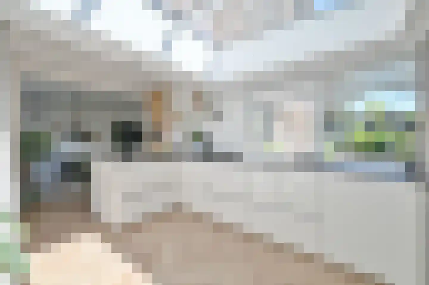 Proostdijstraat 38 Mijdrecht thumbnail 12