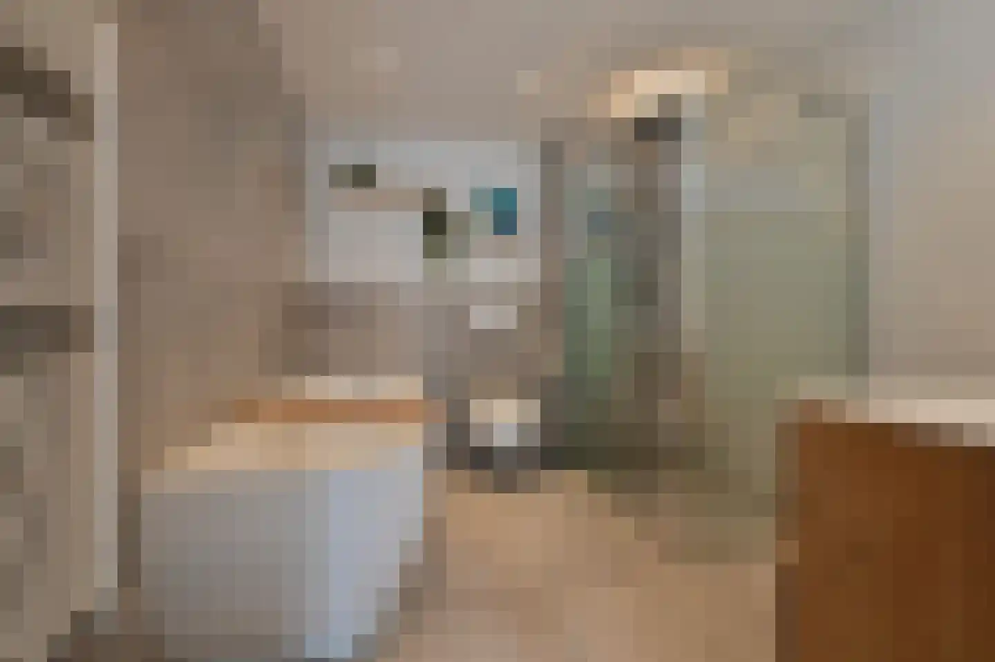 Proostdijstraat 38 Mijdrecht thumbnail 26