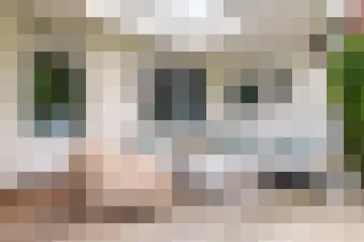 Proostenhof 19 Meerssen thumbnail 17