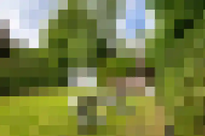 Proostenhof 19 Meerssen thumbnail 18