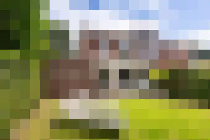 Proostenhof 19 Meerssen thumbnail 20