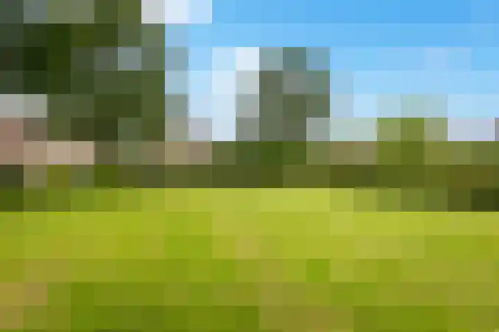 Proostenhof 19 Meerssen thumbnail 22