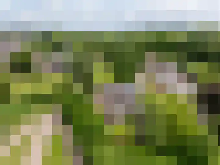 Proostenhof 19 Meerssen thumbnail 23