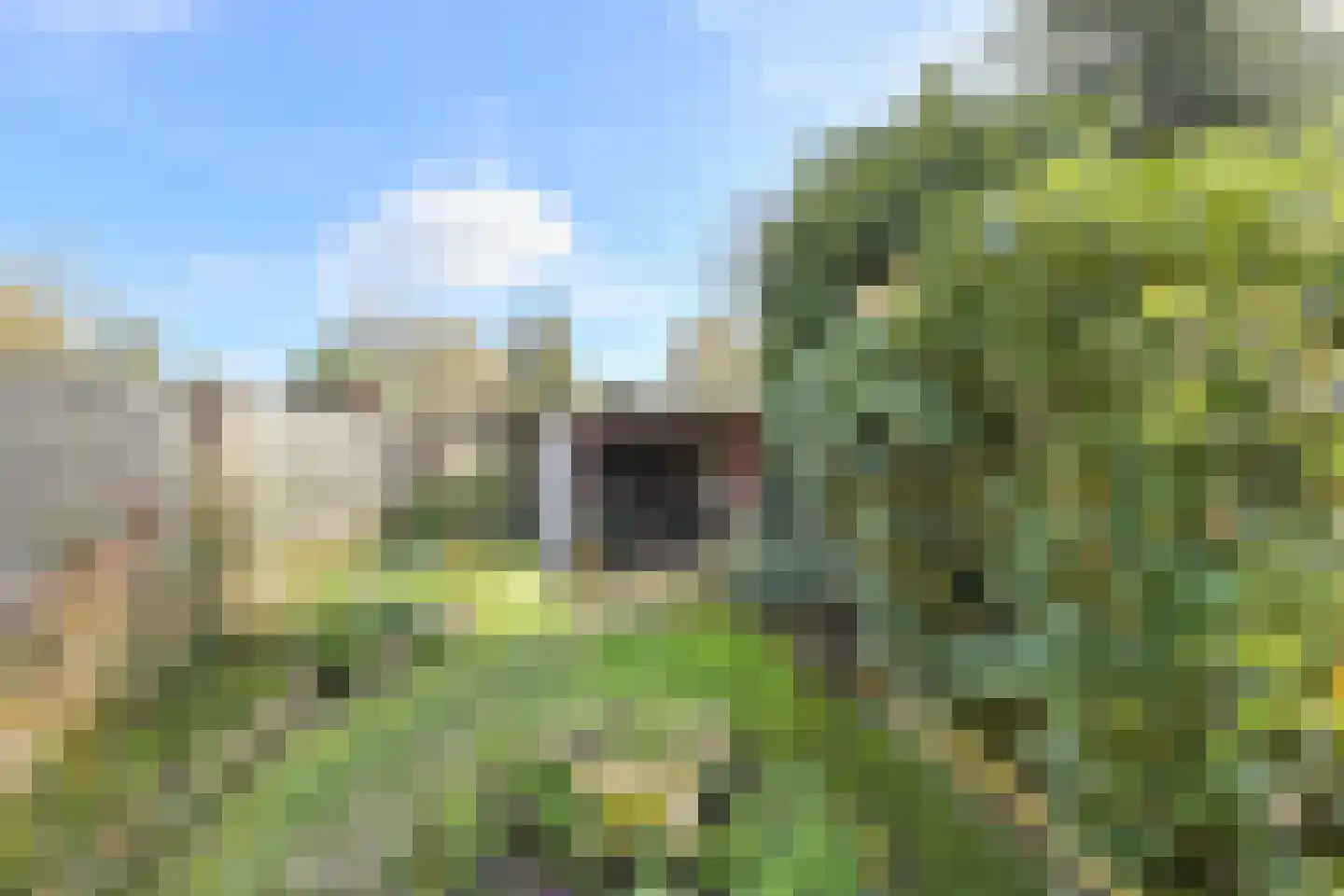 Proostenweg 15 Oosterhout thumbnail 41