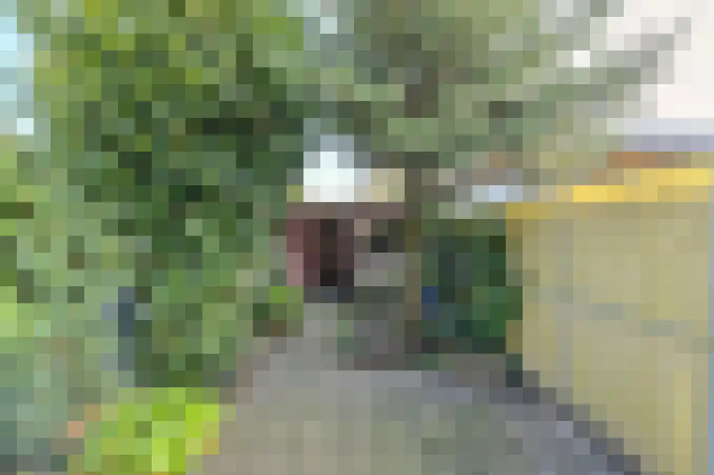 Proostenweg 15 Oosterhout thumbnail 42