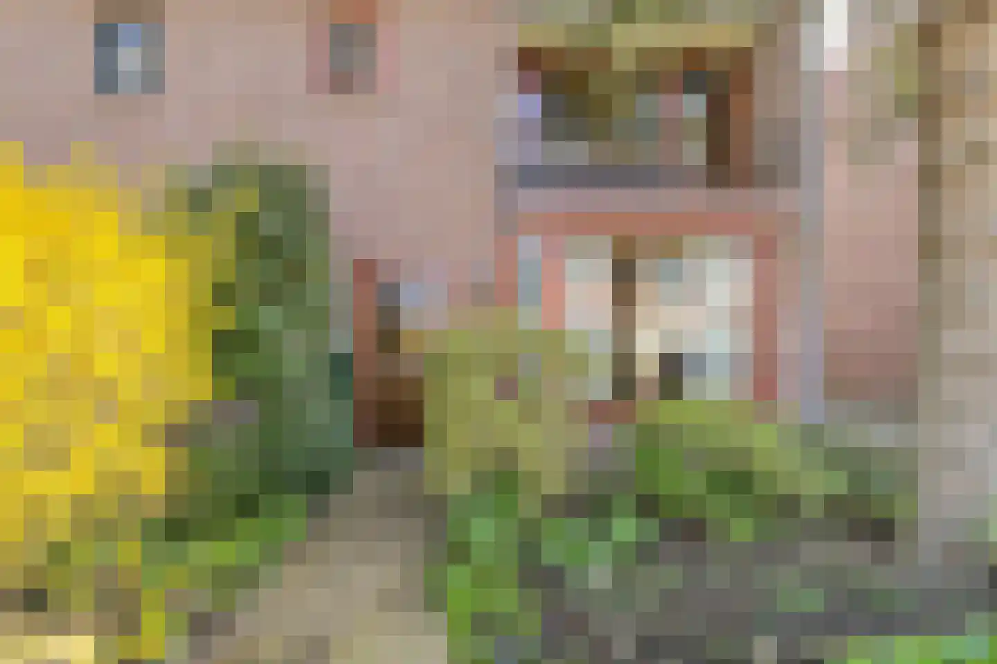 Proostenweg 15 Oosterhout thumbnail 5