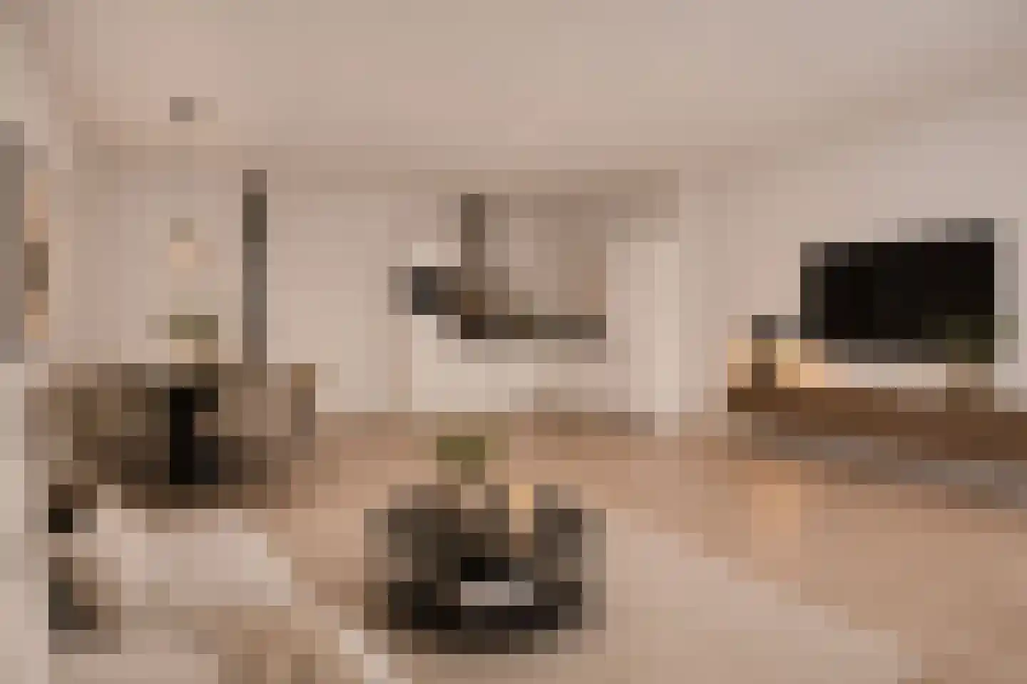 Proostwetering 110 Maarssen thumbnail 11