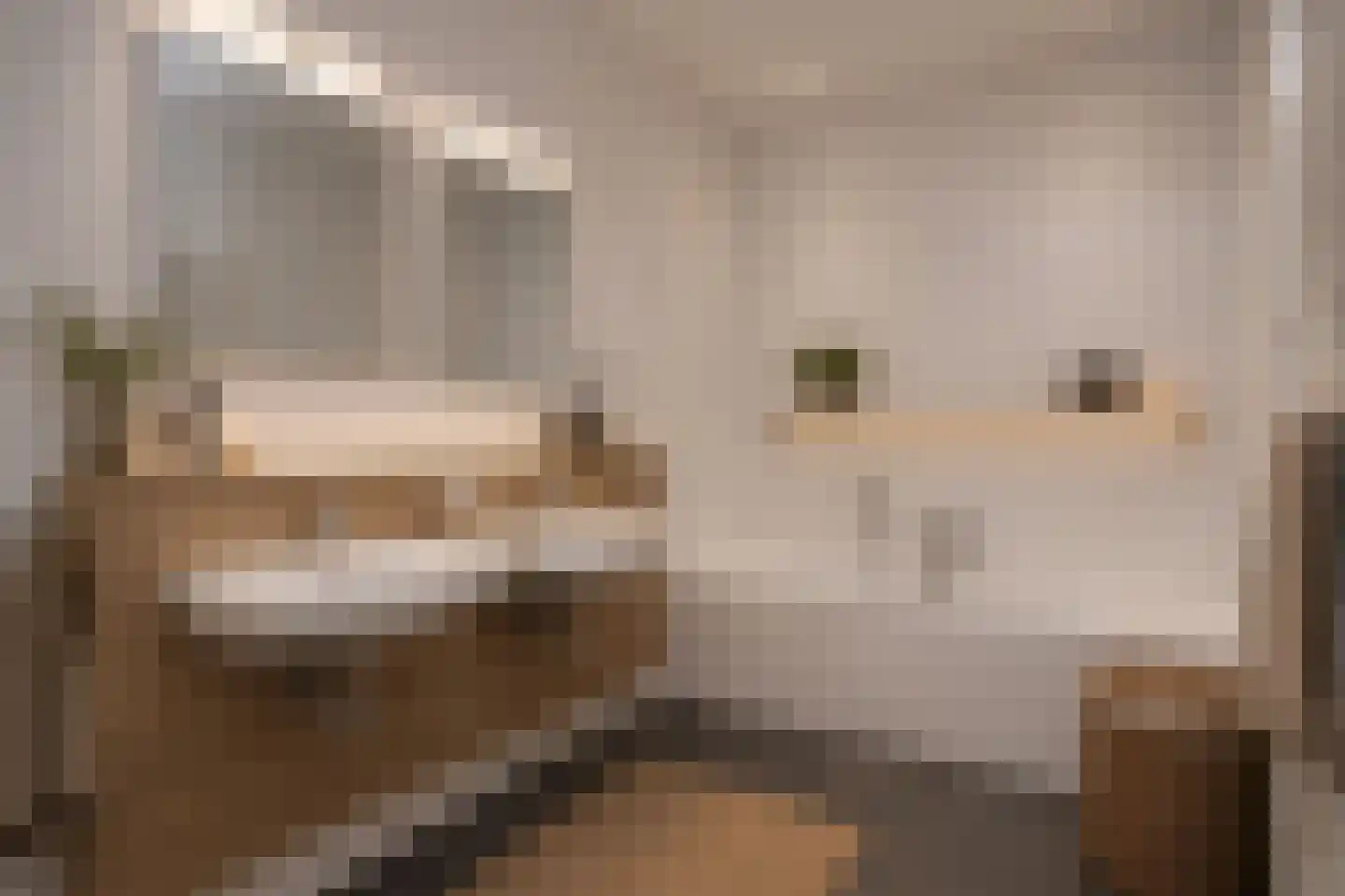 Proostwetering 110 Maarssen thumbnail 21