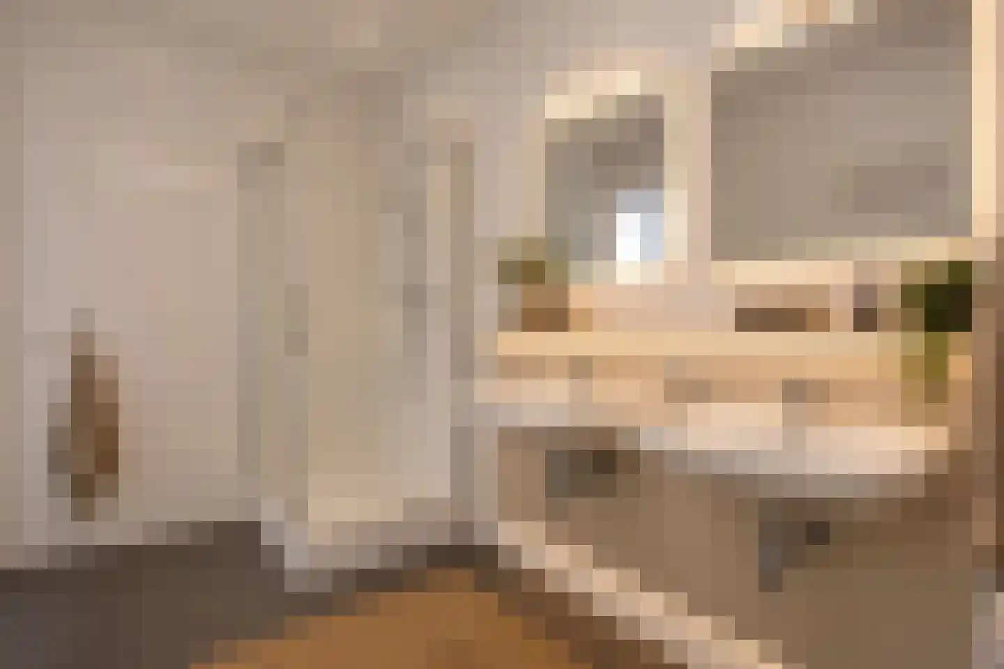 Proostwetering 110 Maarssen thumbnail 23