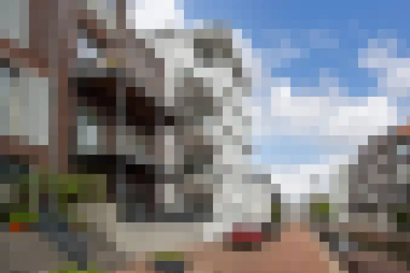 Proostwetering 110 Maarssen thumbnail 26