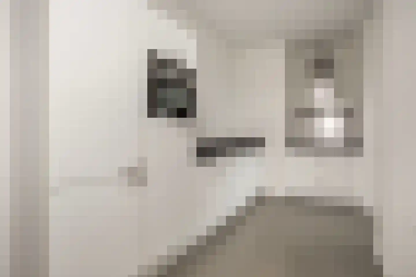 Proostwetering 138 Maarssen thumbnail 9