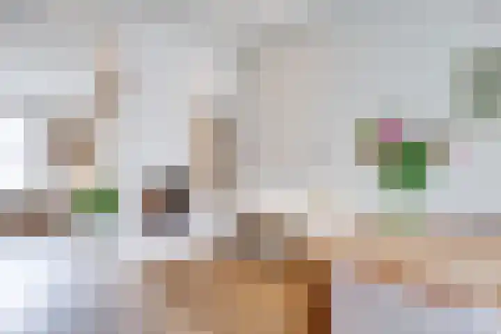 Proostwetering 37 a Maarssen thumbnail 20