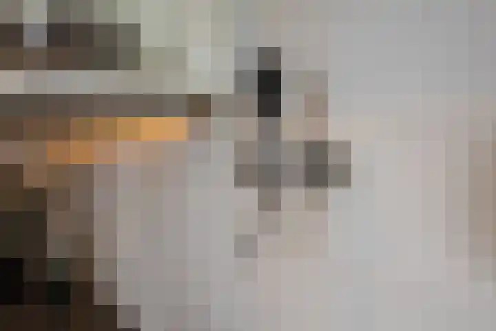 Proostwetering 37 a Maarssen thumbnail 23