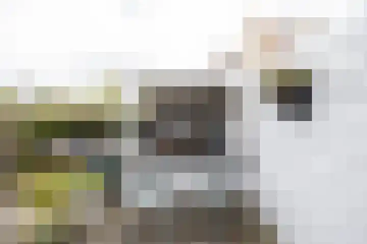 Proostwetering 37 a Maarssen thumbnail 28
