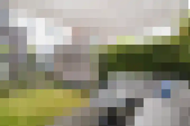 Proostwetering 37 a Maarssen thumbnail 32