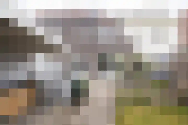 Proostwetering 37 a Maarssen thumbnail 37