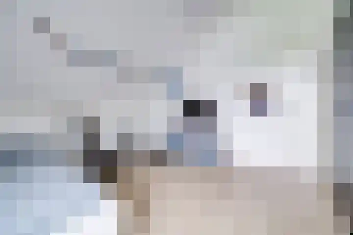 Proostwetering 37 a Maarssen thumbnail 56