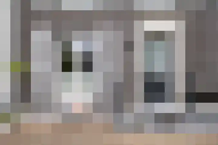 Proostwetering 37 a Maarssen thumbnail 59