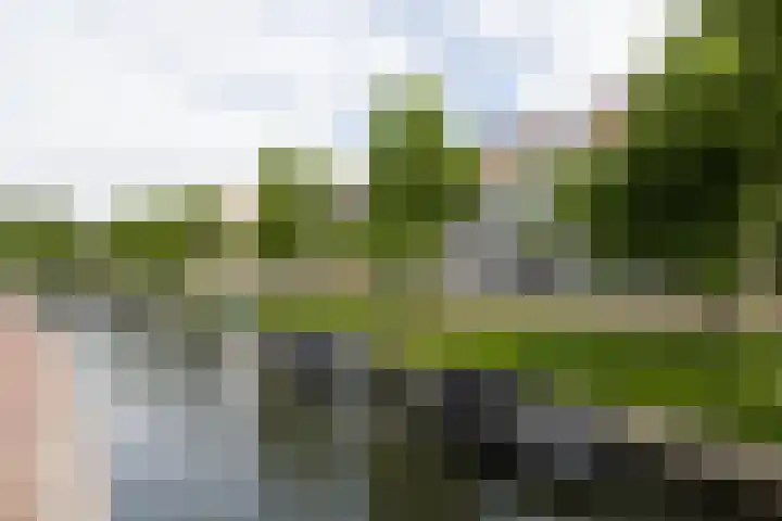 Proostwetering 37 a Maarssen thumbnail 61