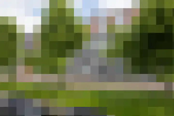 Proostwetering 37 a Maarssen thumbnail 62