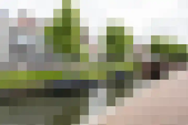 Proostwetering 37 a Maarssen thumbnail 64