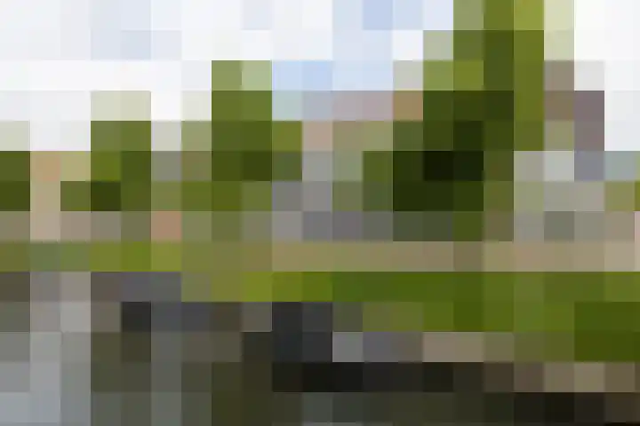 Proostwetering 37 a Maarssen thumbnail 66