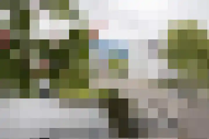 Proostwetering 37 a Maarssen thumbnail 67