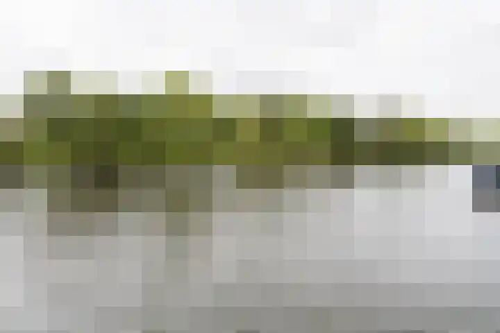 Proostwetering 37 a Maarssen thumbnail 68