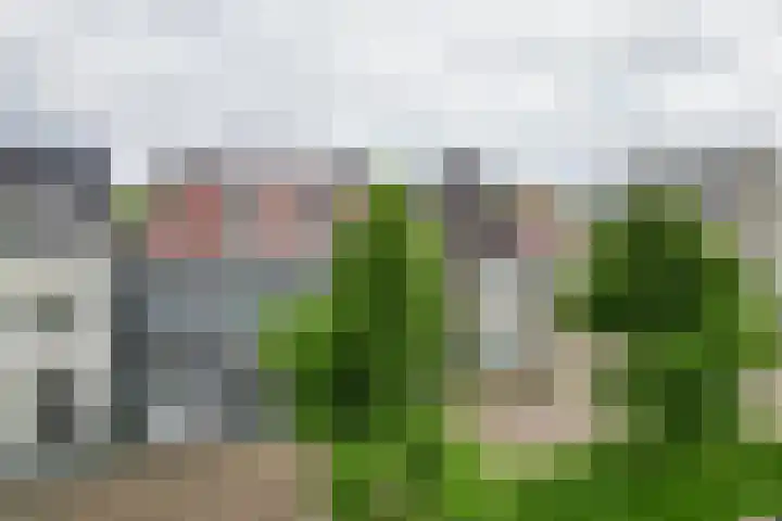 Proostwetering 37 a Maarssen thumbnail 77