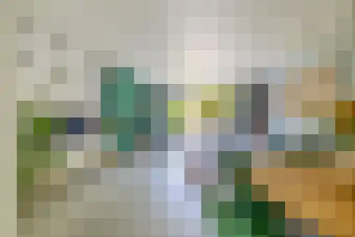 Proostwetering 48 Maarssen thumbnail 17