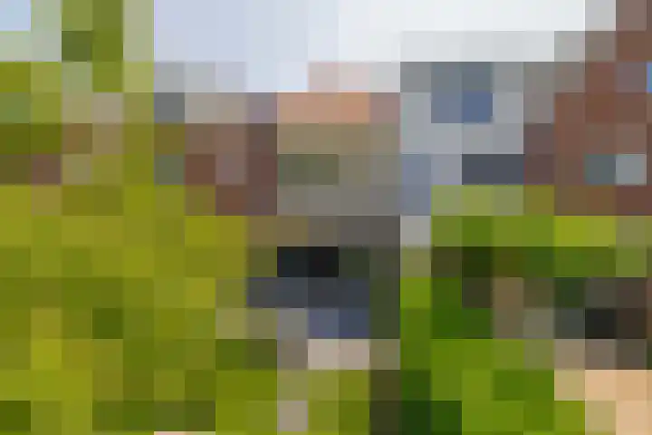 Proostwetering 48 Maarssen thumbnail 26