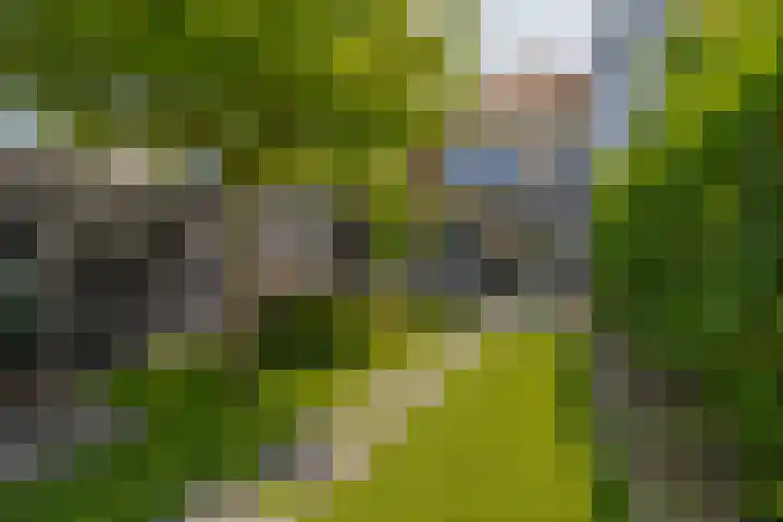 Proostwetering 48 Maarssen thumbnail 29