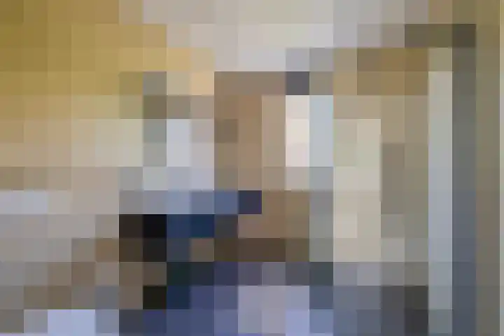 Proostwetering 48 Maarssen thumbnail 37