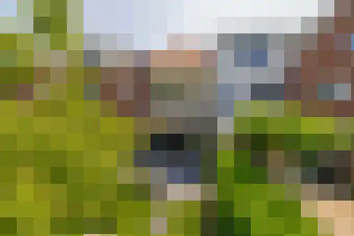 Proostwetering 48 Maarssen thumbnail 4
