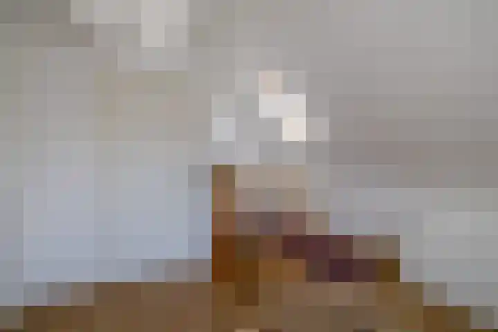 Proostwetering 48 Maarssen thumbnail 44