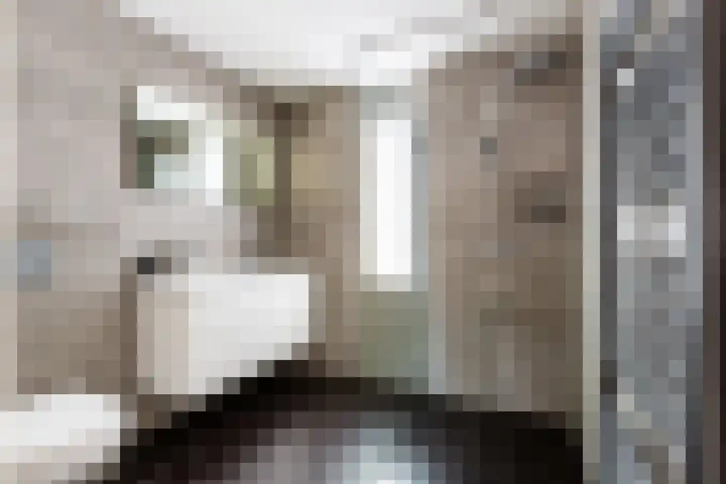 Proostwetering 53 Maarssen thumbnail 47