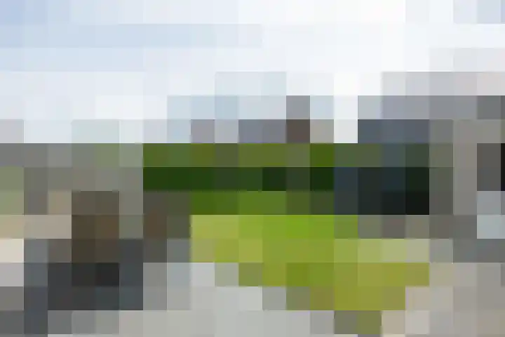 Propusstraat 11 Zuidhorn thumbnail 34