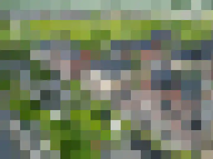 Propusstraat 11 Zuidhorn thumbnail 41