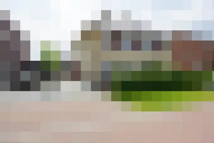 Propusstraat 11 Zuidhorn thumbnail 5