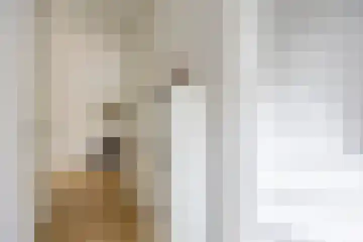 Propusstraat 11 Zuidhorn thumbnail 7