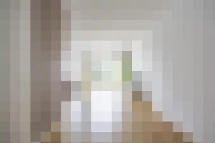 Propusstraat 11 Zuidhorn thumbnail 9